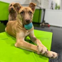 Thumbnail photo of Chelsea #3