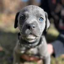 Thumbnail photo of Jack #1