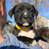 Thumbnail photo of Nicholas #1