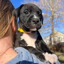 Thumbnail photo of Nicholas #2