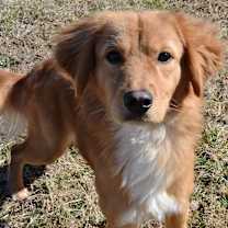 Thumbnail photo of Bingo #1