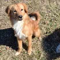 Thumbnail photo of Bingo #2