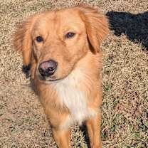 Thumbnail photo of Bingo #3