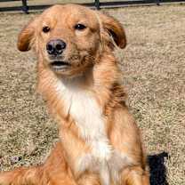 Thumbnail photo of Bingo #4