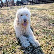 Thumbnail photo of Marcy #1