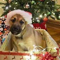 Thumbnail photo of Yondu #1