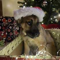 Thumbnail photo of Yondu #2