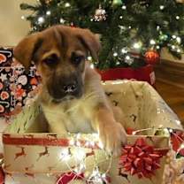 Thumbnail photo of Yondu #4