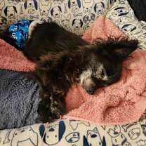 Thumbnail photo of Spud Sprouse #4