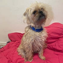 Thumbnail photo of Tee #2