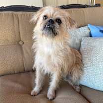 Thumbnail photo of Tee #3