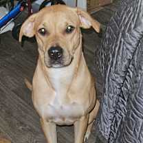 Thumbnail photo of Pepper #2