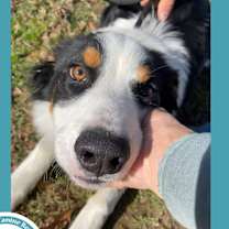 Thumbnail photo of Remi 122025 #1