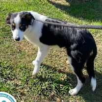 Thumbnail photo of Remi 122025 #2