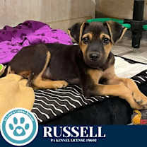 Thumbnail photo of Russell 120625 #1