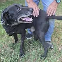 Thumbnail photo of Marshall #2