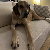 Thumbnail photo of Persephone #3