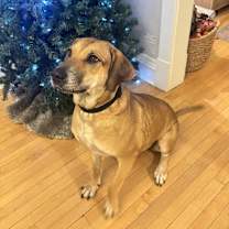 Thumbnail photo of Persephone #4