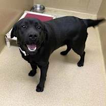 Thumbnail photo of Nova #2