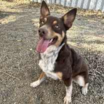 Thumbnail photo of Sasha #3