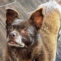 Thumbnail photo of Rumble #2