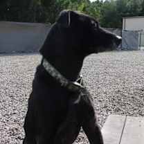 Thumbnail photo of Jessie #1