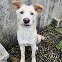 Thumbnail photo of Baby (H) #1