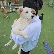 Thumbnail photo of Baby (H) #2