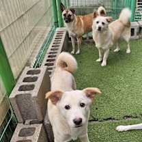 Thumbnail photo of Baby (H) #4