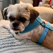 Thumbnail photo of Bernadette #3