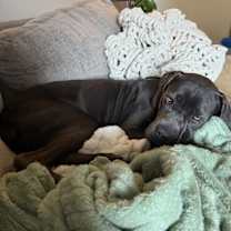 Thumbnail photo of Darla #3