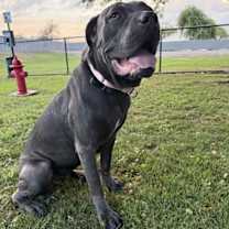 Thumbnail photo of Darla #4