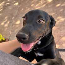 Thumbnail photo of Athenea (CP) #2