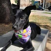 Thumbnail photo of Athenea (CP) #3