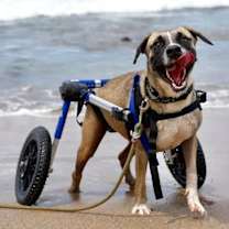 Thumbnail photo of Camilo (CP) #4