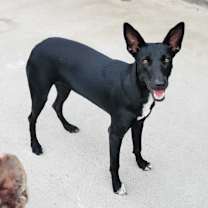 Thumbnail photo of Briella #2