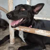 Thumbnail photo of Briella #4