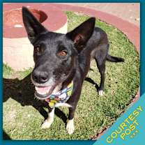 Thumbnail photo of Heidy (CP) #1