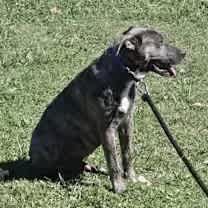 Thumbnail photo of Beignet #4