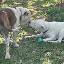 Thumbnail photo of Sophie #4