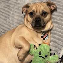 Thumbnail photo of Tank #1