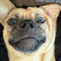 Thumbnail photo of Tank #2