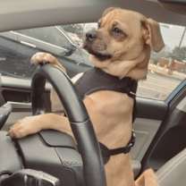 Thumbnail photo of Tank #3