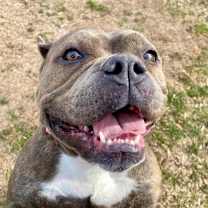 Thumbnail photo of Pinky #1