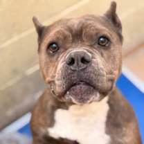 Thumbnail photo of Pinky #2