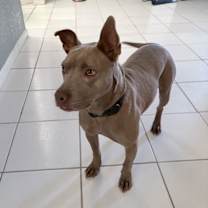 Thumbnail photo of Kya #3