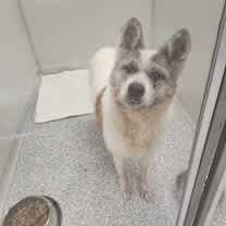 Thumbnail photo of Keyoko #1