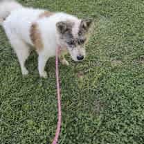 Thumbnail photo of Keyoko #2