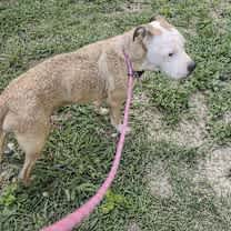 Thumbnail photo of Zeus #2