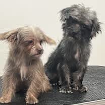 Thumbnail photo of Bubbles #2